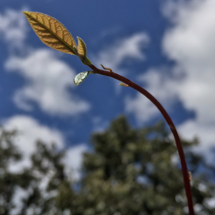 FullSizeRender (2).jpg